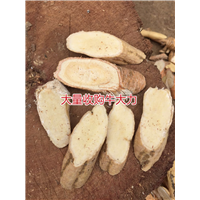天然牛大力加工厂，生产牛大力干品