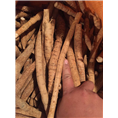 广东牛大力种苗￥广东牛大力批发价格5