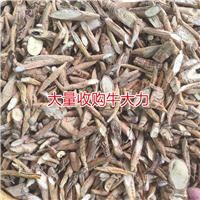 天然牛大力加工厂，生产牛大力干品