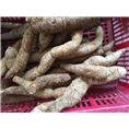 广东牛大力批发商