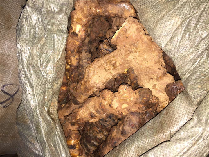 广东土茯苓供应商#广东哪里有土茯苓？2