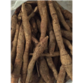 广东牛大力2
