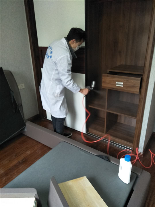 内江除甲醛那家好 