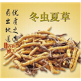 三亚冬虫夏草回收|万宁冬虫夏草回收 