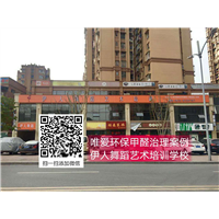 伊人舞蹈艺术培训学校甲醛治理 