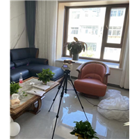 自贡荣县除甲醛公司联系电话多少