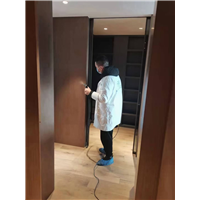 自贡用什么方式除甲醛效果好