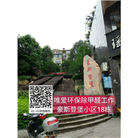 豪斯登堡小区18栋除甲醛 