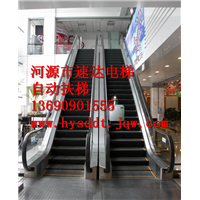 广东自动扶梯、河源自动扶梯 