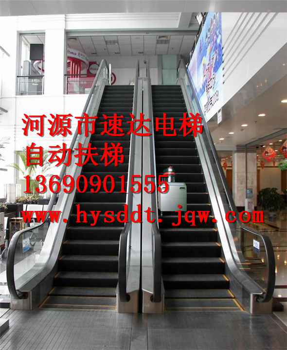 广东自动扶梯、河源自动扶梯 