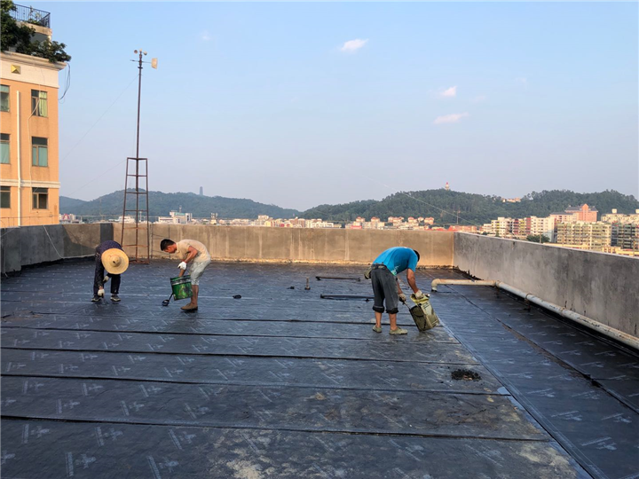 江门屋面防水公司 