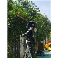 东阳黄蜂窝处理服务价格多少钱