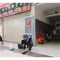 武汉灭老鼠预防你不能漏的小知识