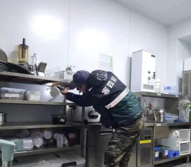 武汉灭鼠公司哪家好