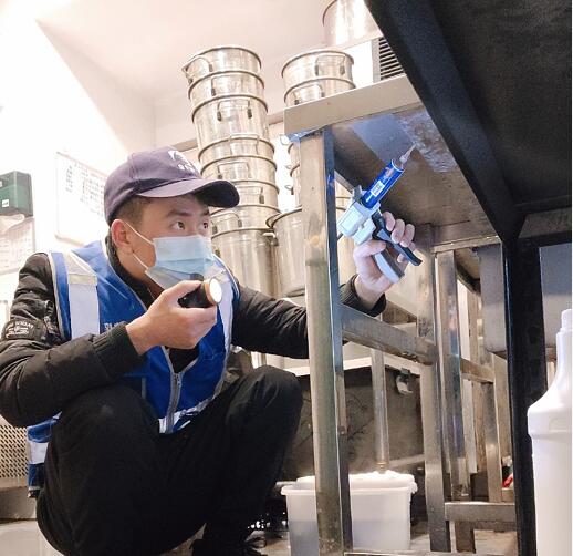 武汉灭白蚁公司教您如何快速灭杀蚂蚁