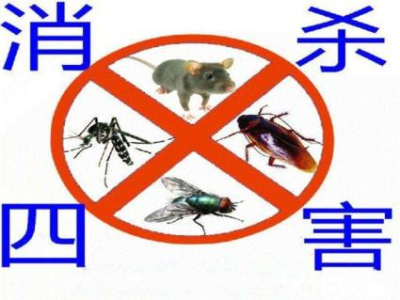 汉南区灭鼠灭蟑螂公司 