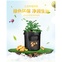 云南育苗袋】供应广东育苗袋/育苗袋厂家 