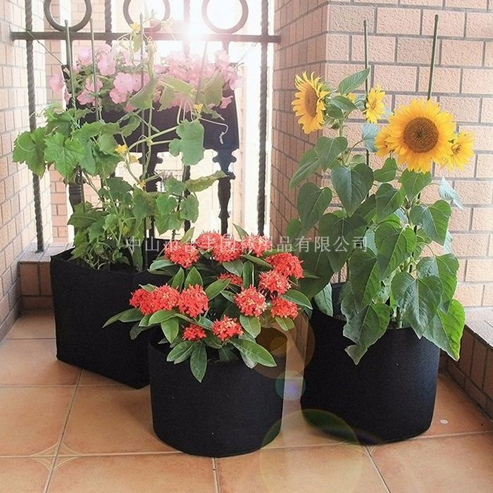 国际标准美植袋 黑色出口植树袋