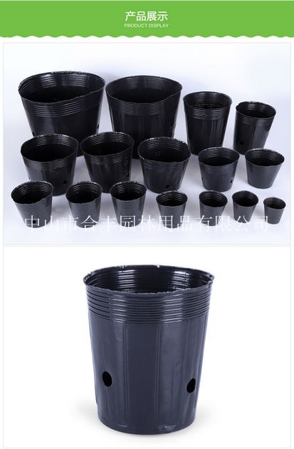 浙江育苗杯|福建育苗杯/广东育苗杯厂家 