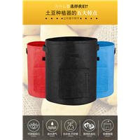 浙江包树布|广东包树布、包树布厂家 