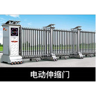 枞阳电动伸缩门
