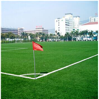 海南海口草坪批发，海南海口草坪足球草 