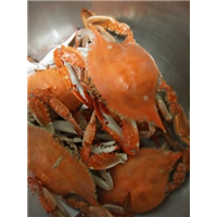 鸡鸣岛农家乐%鸡鸣岛家庭旅馆