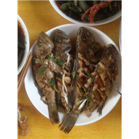 鸡鸣岛旅游项目%鸡鸣岛旅游电话号码