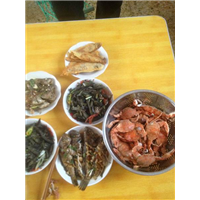 鸡鸣岛渔家乐