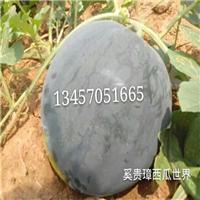 扶绥西瓜代办，扶绥西瓜代理，黑美人西瓜