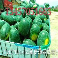 崇左西瓜代办代理、崇左西瓜代购