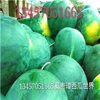 广西西瓜代理电话、广西西瓜供应商