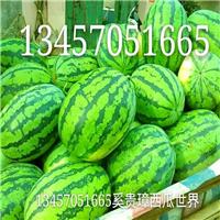 苏圩西瓜批发，苏圩西瓜出售，苏圩西瓜