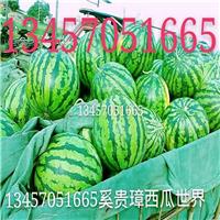 广西西瓜、广西西瓜价格、广西西瓜批发