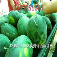 崇左西瓜基地、崇左西瓜代办、崇左西瓜
