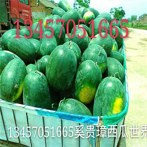 崇左西瓜代办代理、崇左西瓜代购