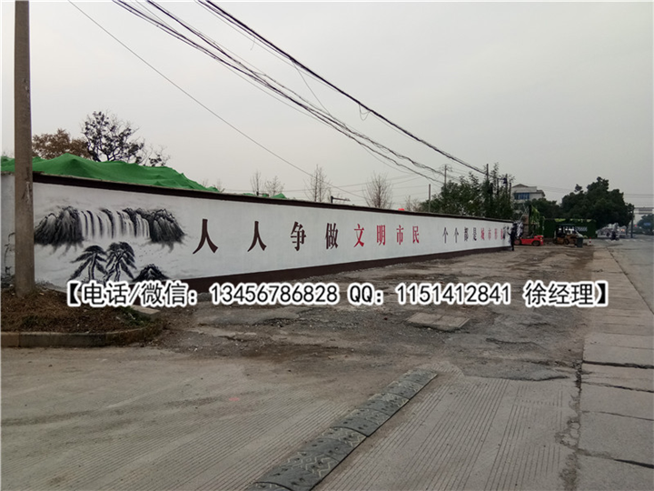 杭州杰羽墙绘作品展示 13 