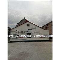杭州杰羽墙绘作品展示 12 