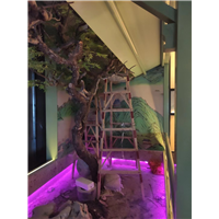 杭州围墙墙绘彩绘定制工作室在哪