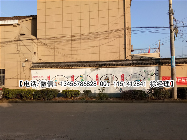 杭州杰羽墙绘作品展示 9 