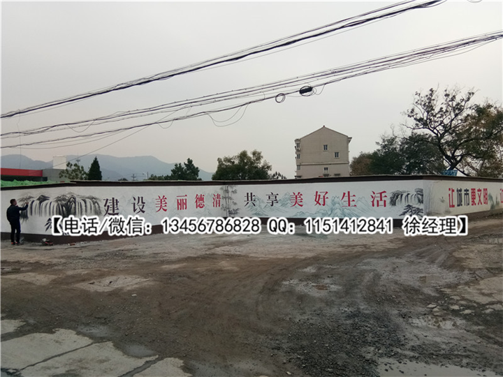 杭州杰羽墙绘作品展示 11 