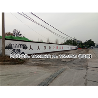 杭州杰羽墙绘作品展示 13 