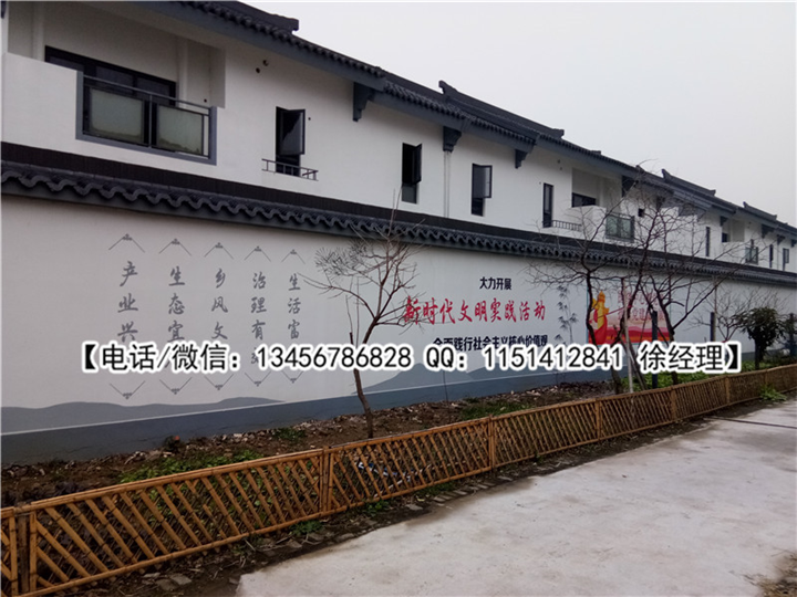 杭州杰羽墙绘作品展示 10 