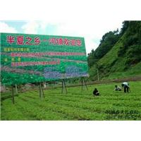 贵州半夏在基地电话多少 