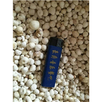 成都〖半夏干货〗质量保证 