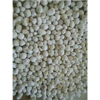 贵州省【半夏干货】批发电话 