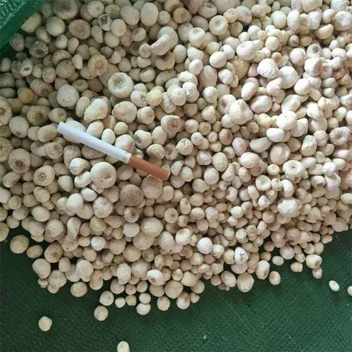 秀山【半夏干货】批发地址 