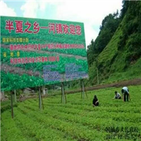 贵州省半夏批发地址 