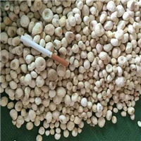 云南半夏批发/丽江半夏种植技术 