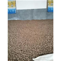 兴义〖半夏种子〗优良品种 